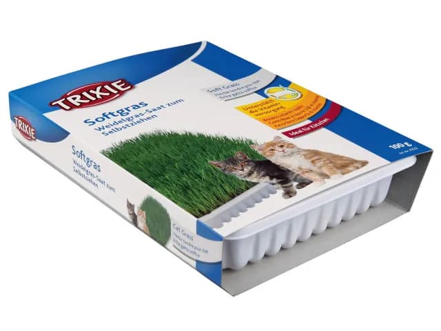 Iarba pisicii Trixie Softgras 100 gr